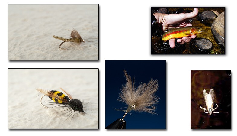 Mitt utvalg av ørretfluer er godt og allsidig. Klassiske tørrfluer som Adams, Black Gnat og Royal Coachman er godt representert. Nymfer med og uten kulehode har jeg mange av, i tillegg til Montana! Ulike imitasjonser av døgnfluer, mygg, vårlfuer, veps, russerflua, maur og biller har jeg også. Jeg har de fleste fluene i ulike størrelser og farger. Alle fluene er bundet for å fiske, og de holder godt. Prisene er på et internasjonalt nivå, mens kvaliteten er den absolutt beste som er å oppdrive. Klikk deg inn og se!